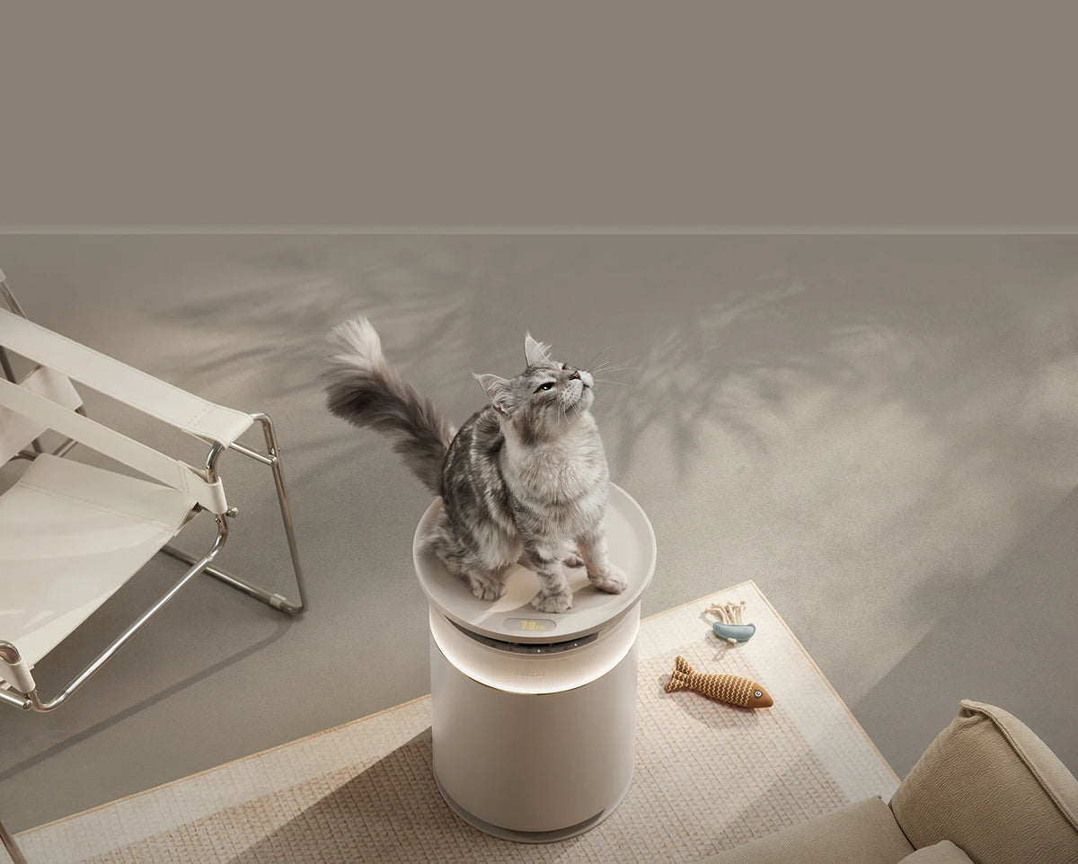 FP10 Purifier & Pet Tray Set