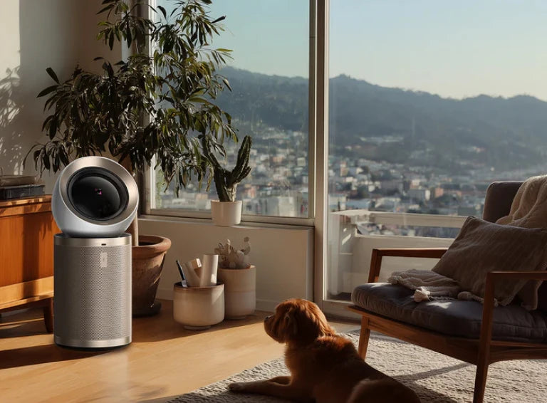 Where to Place an Air Purifier in Your Home for Maximum Effectiveness