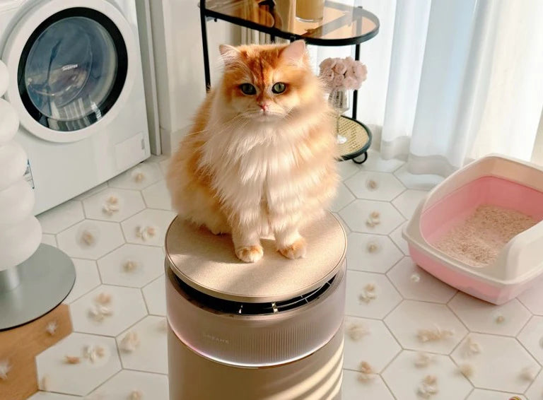 FP10The Ultimate Purifier for Pet Parents!